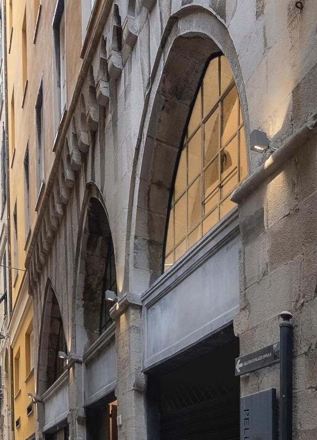Palazzo Pellicceria Apartment Janov Exteriér fotografie